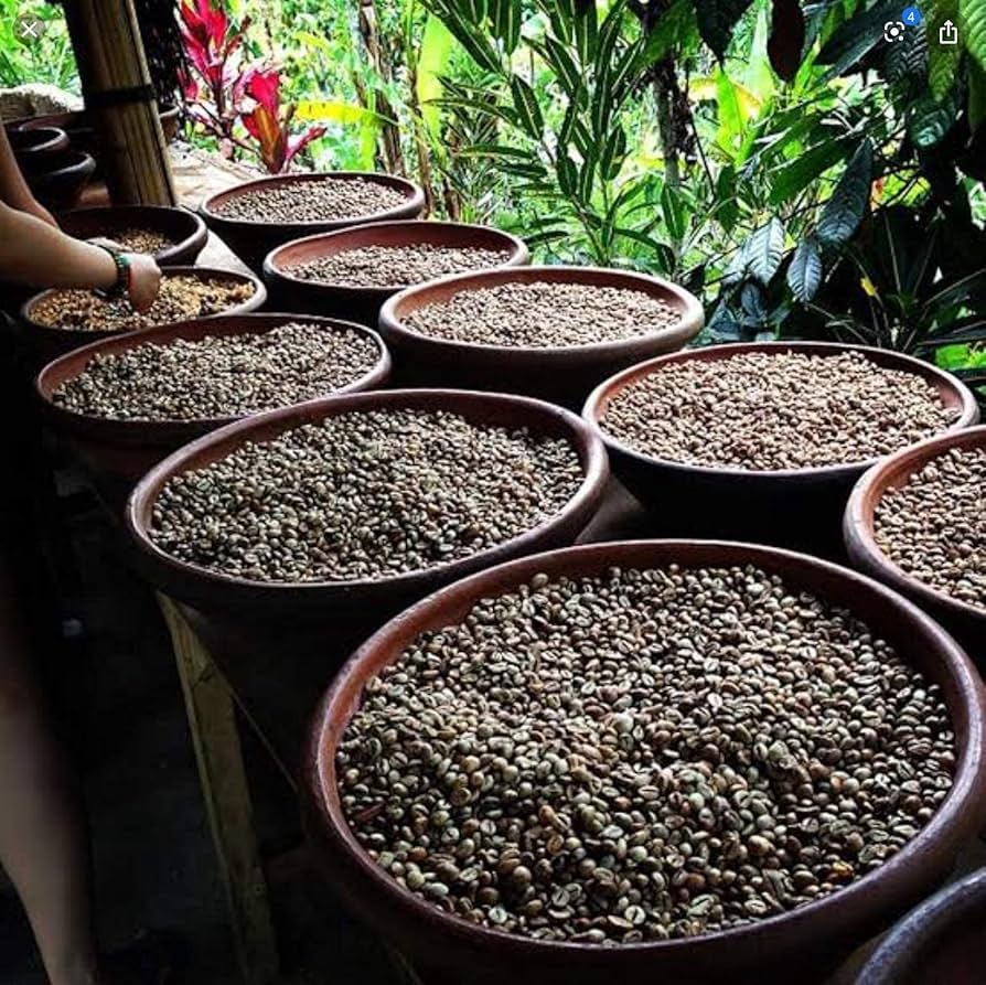 Kopi Luwak 100% インドネシア バリ島産 100g Amazon | Donlos Coffee コピルアク 100g 粉 パウダー
